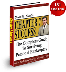 Chapter 7 Success: The Complete Guide to Surviving Personal Bankruptcy, a 181-page book by David M. Siegel